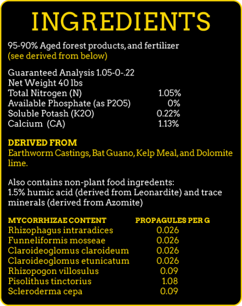 DirtyDirt_ConditionIt_Back_v3_Dec_2025_ING