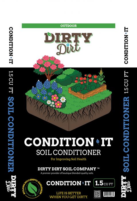 DirtyDirt_ConditionIt_Front_v2_Dec_2025