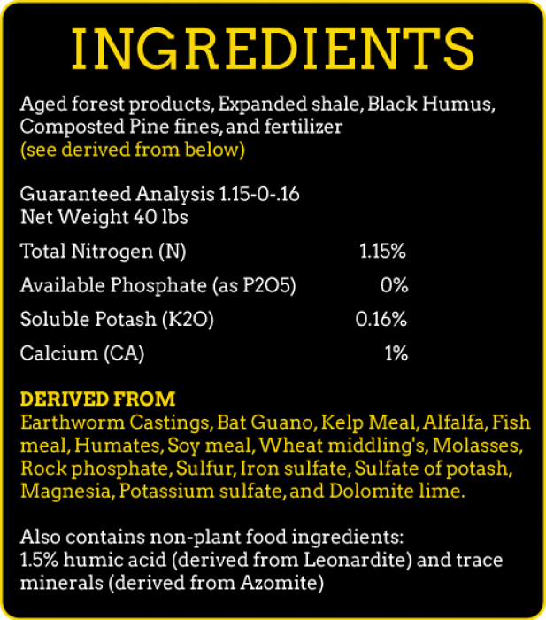 DirtyDirt_RaiseIt_Back_v5_Dec_2025_ING